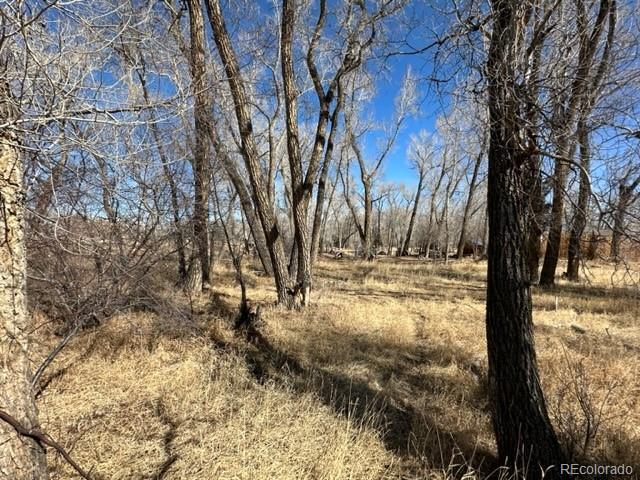 TBD Fairway Drive