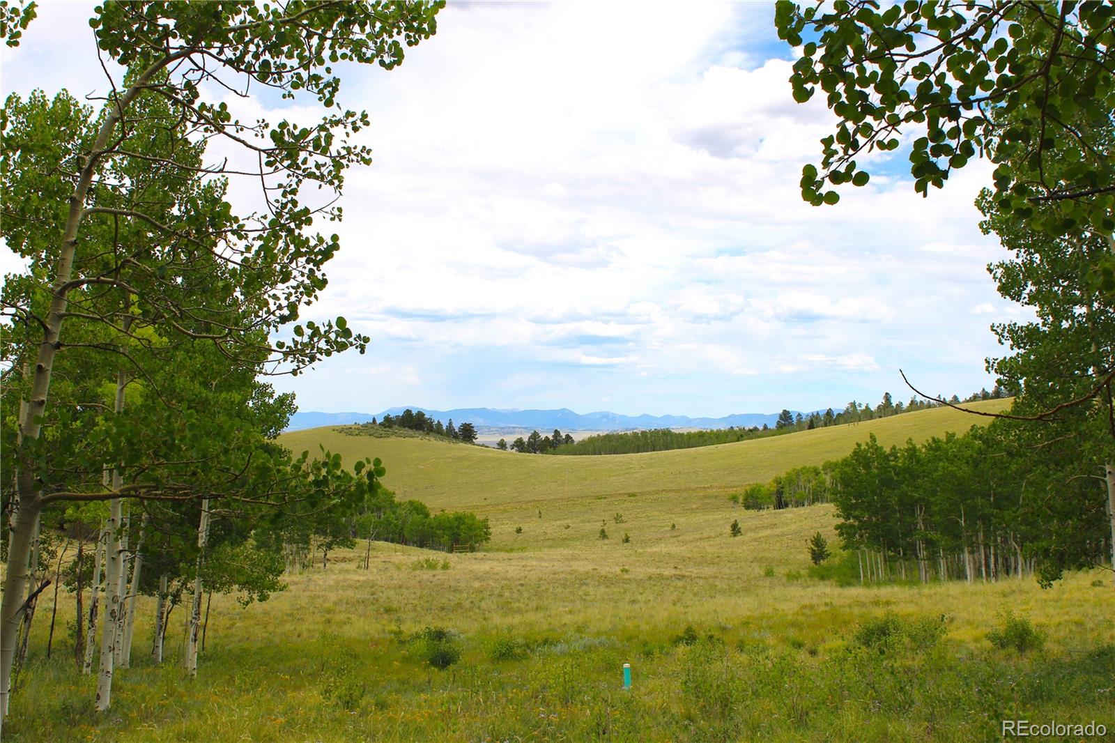 8575 Ranch Road