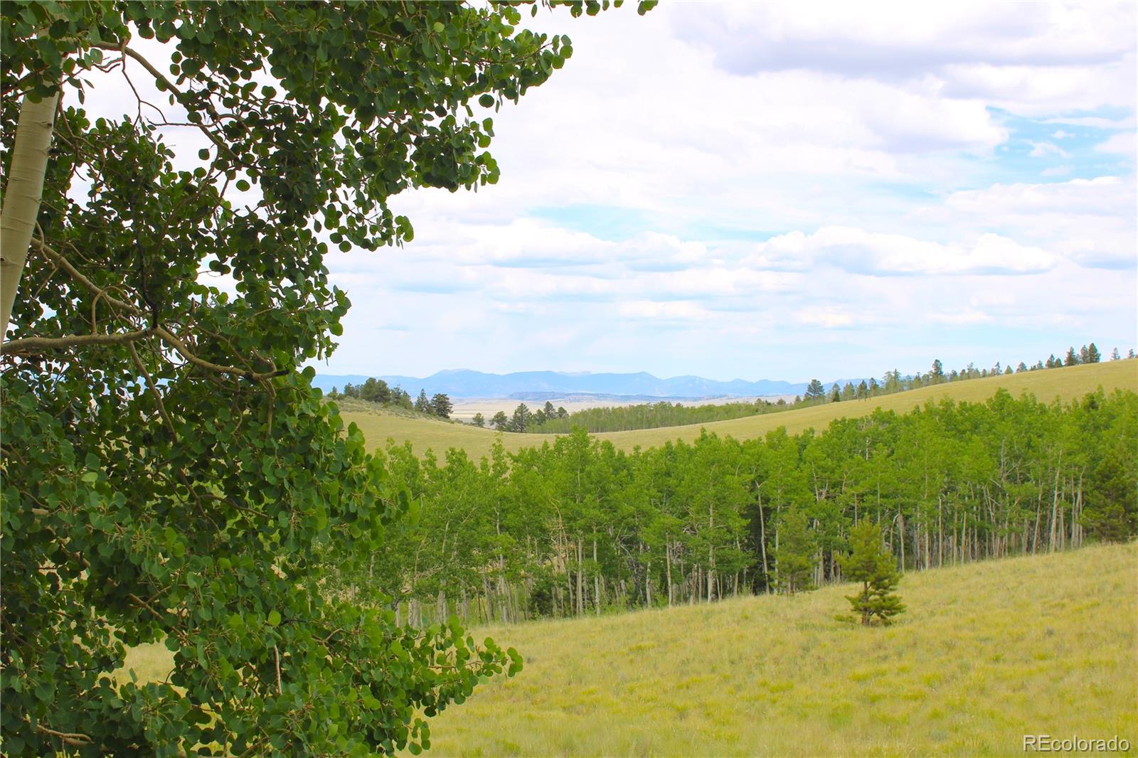 8575 Ranch Road