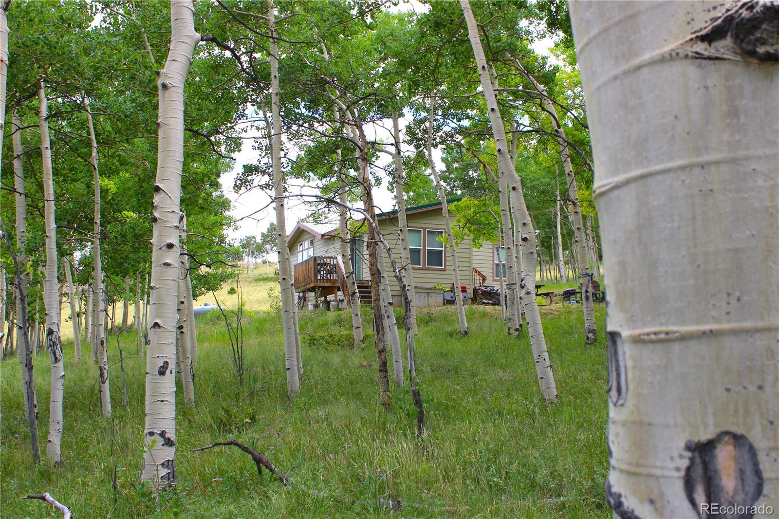 8575 Ranch Road