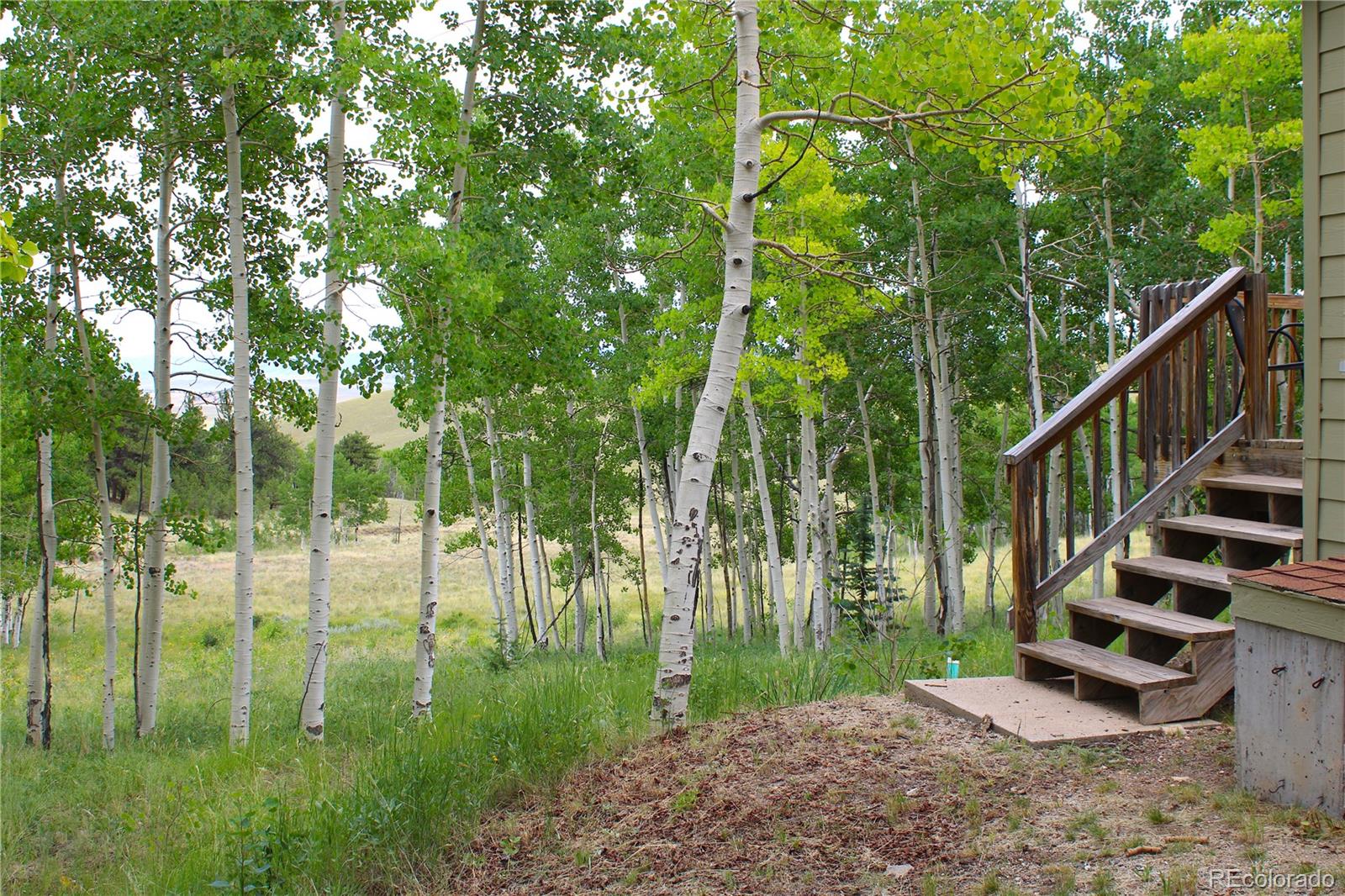 8575 Ranch Road