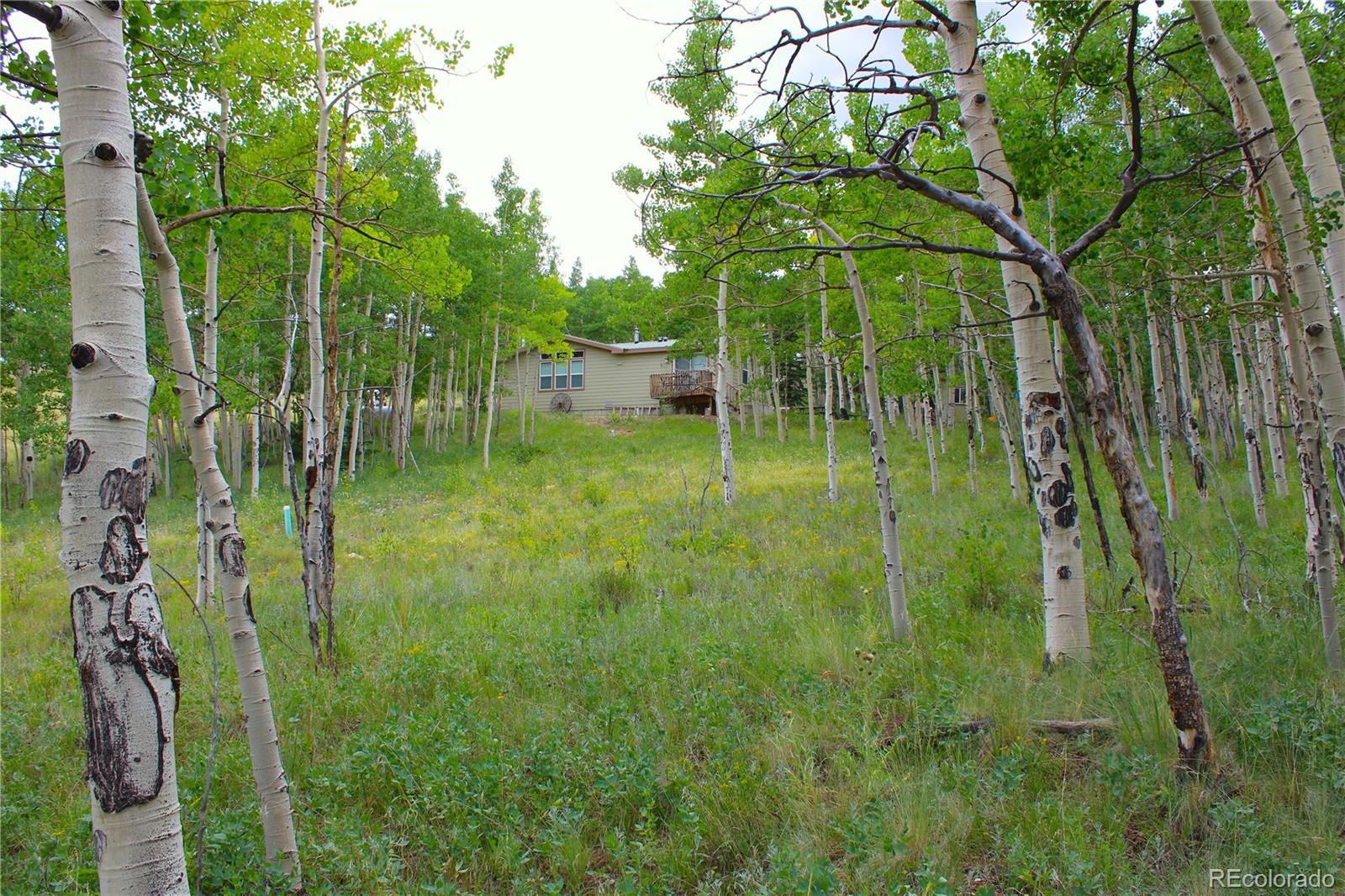8575 Ranch Road