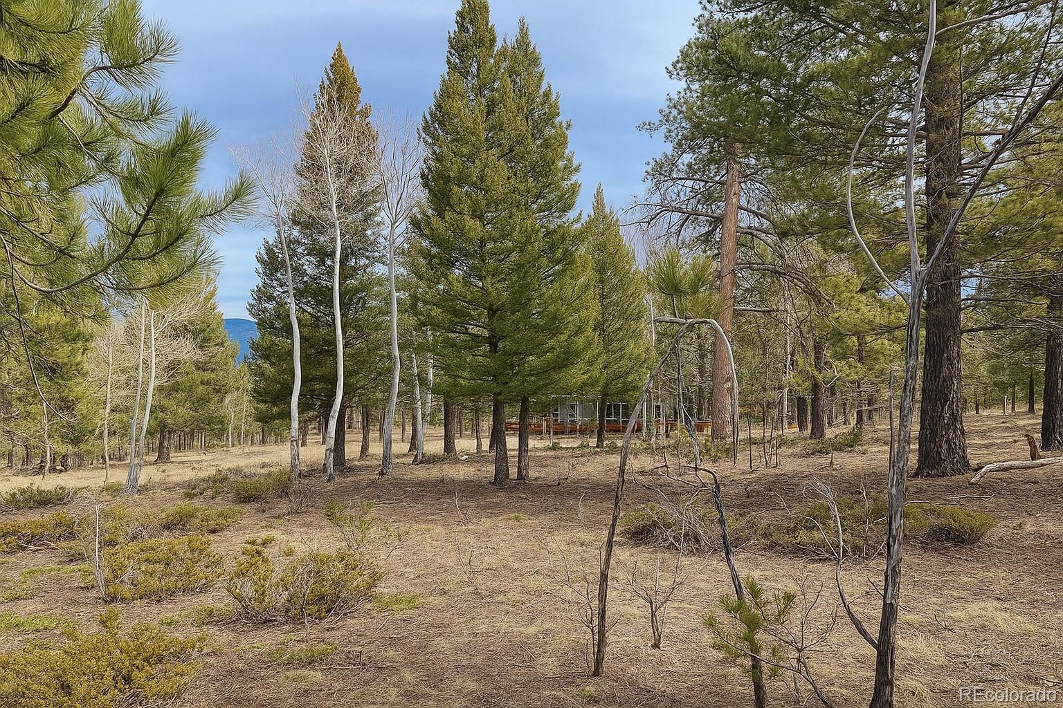 30406 National Forest Drive