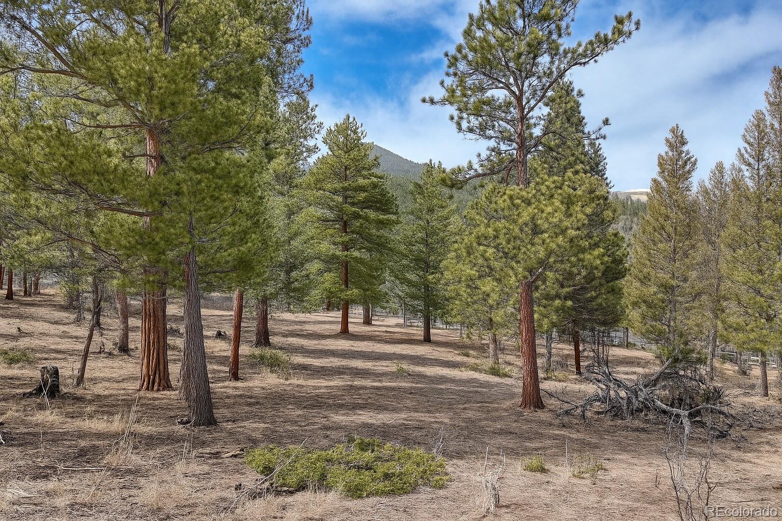 30406 National Forest Drive