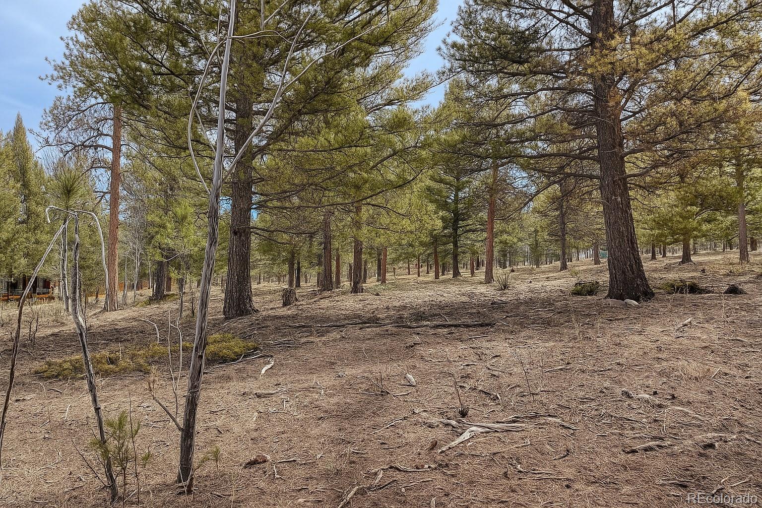 30406 National Forest Drive