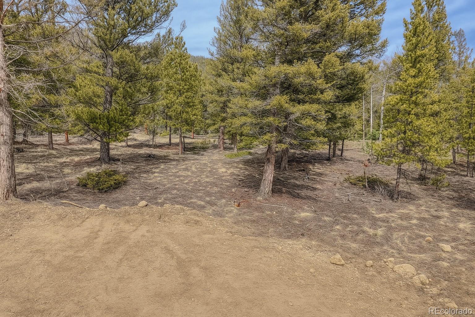 30406 National Forest Drive