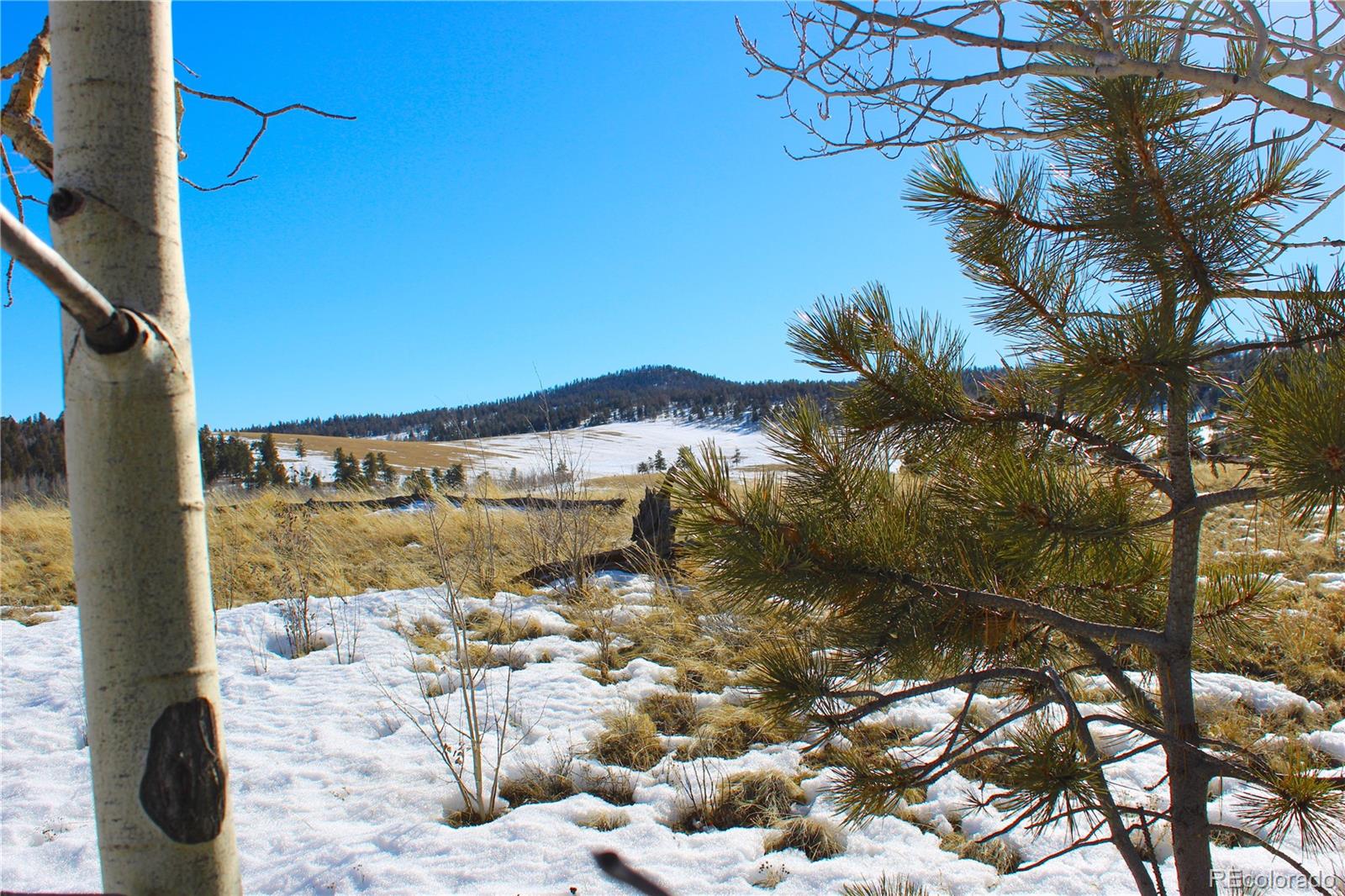 11162 Ranch Road