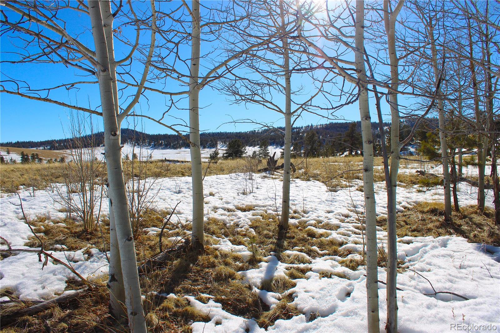 11162 Ranch Road