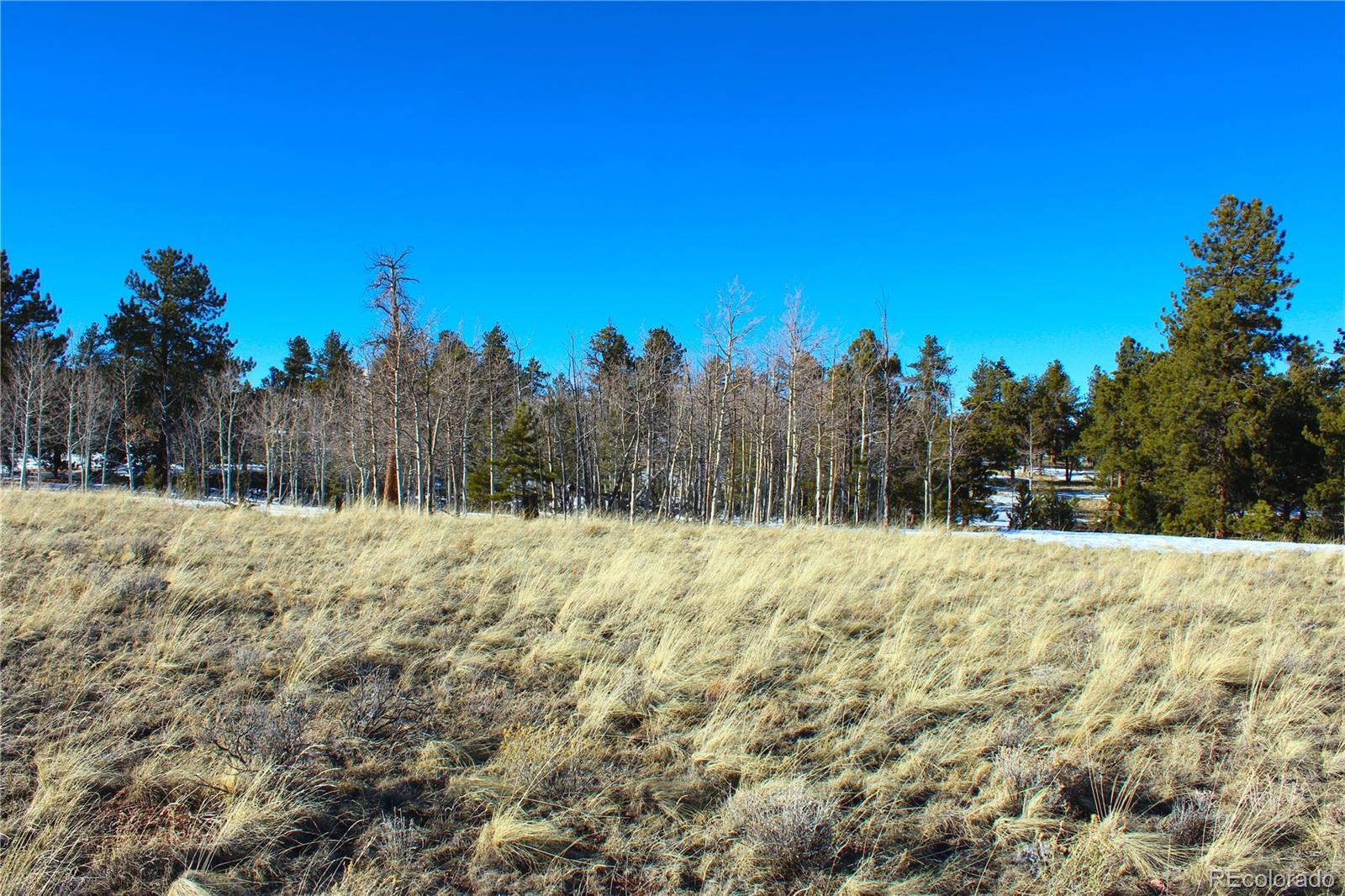 11162 Ranch Road