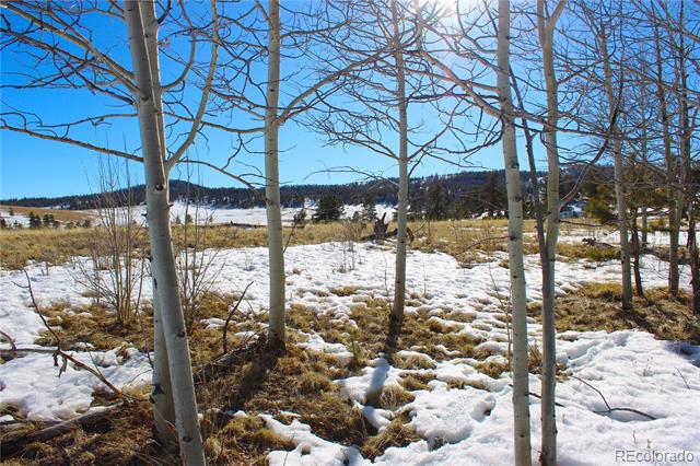 11162 Ranch Road