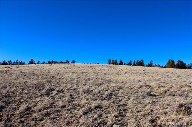 11162 Ranch Road