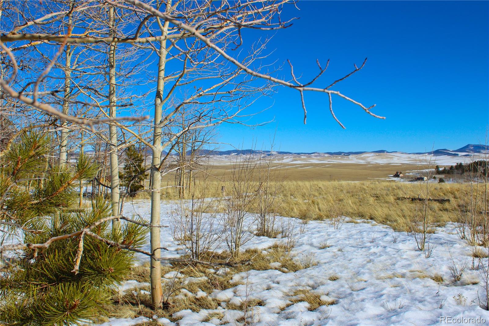 11162 Ranch Road