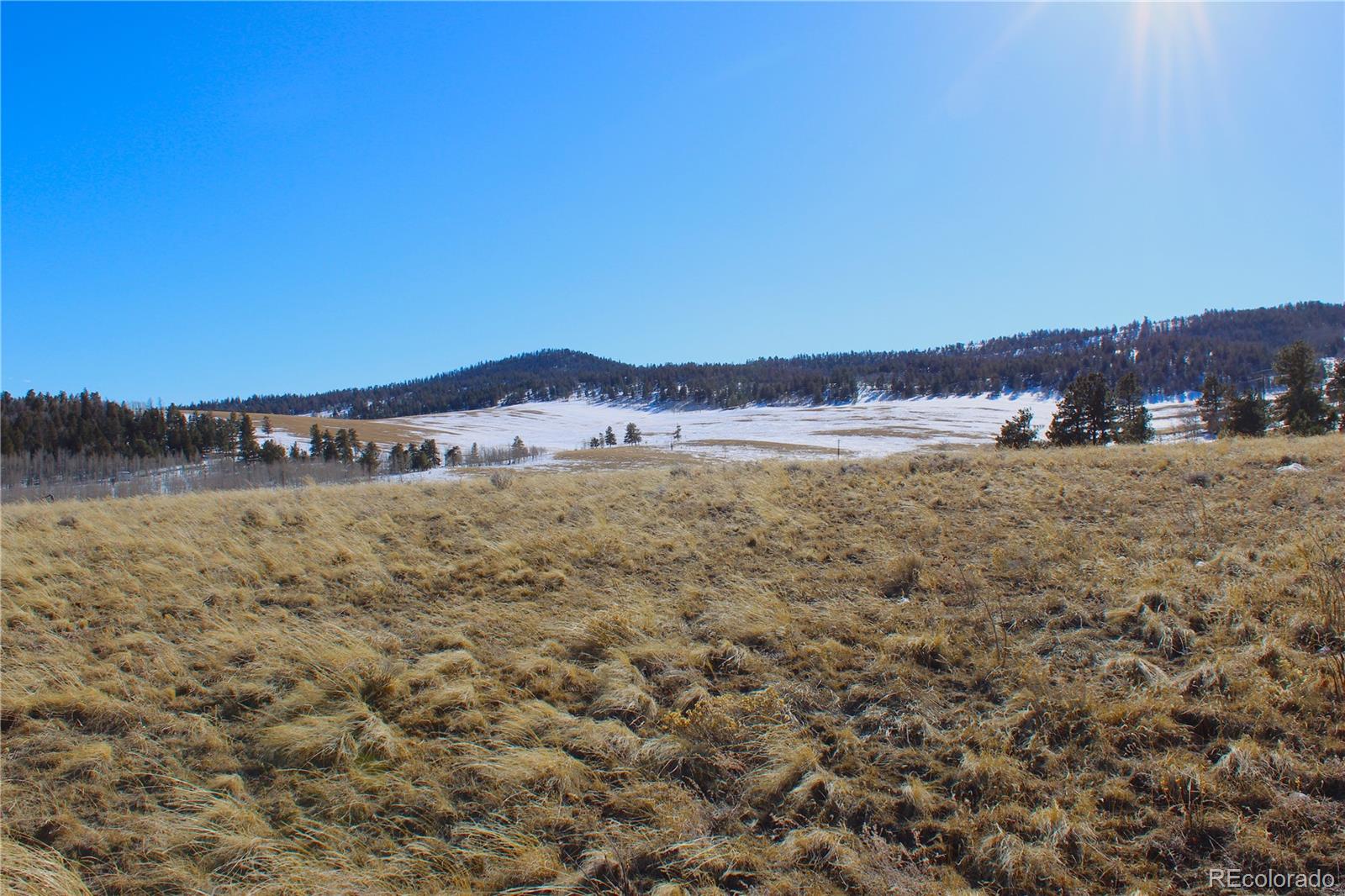 11162 Ranch Road