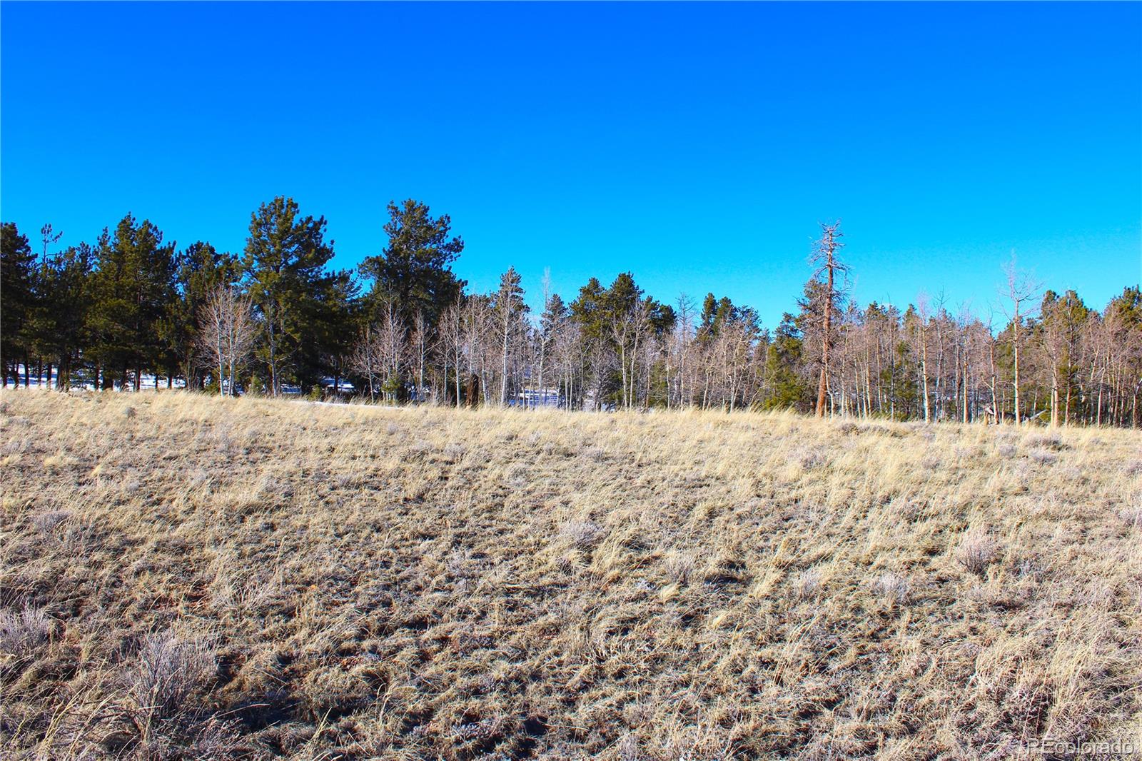 11162 Ranch Road