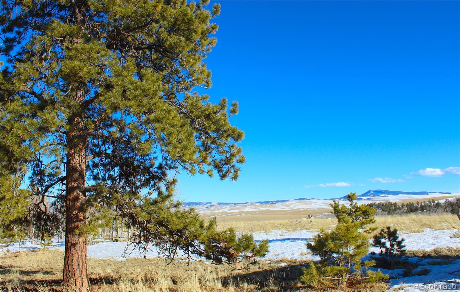 11162 Ranch Road