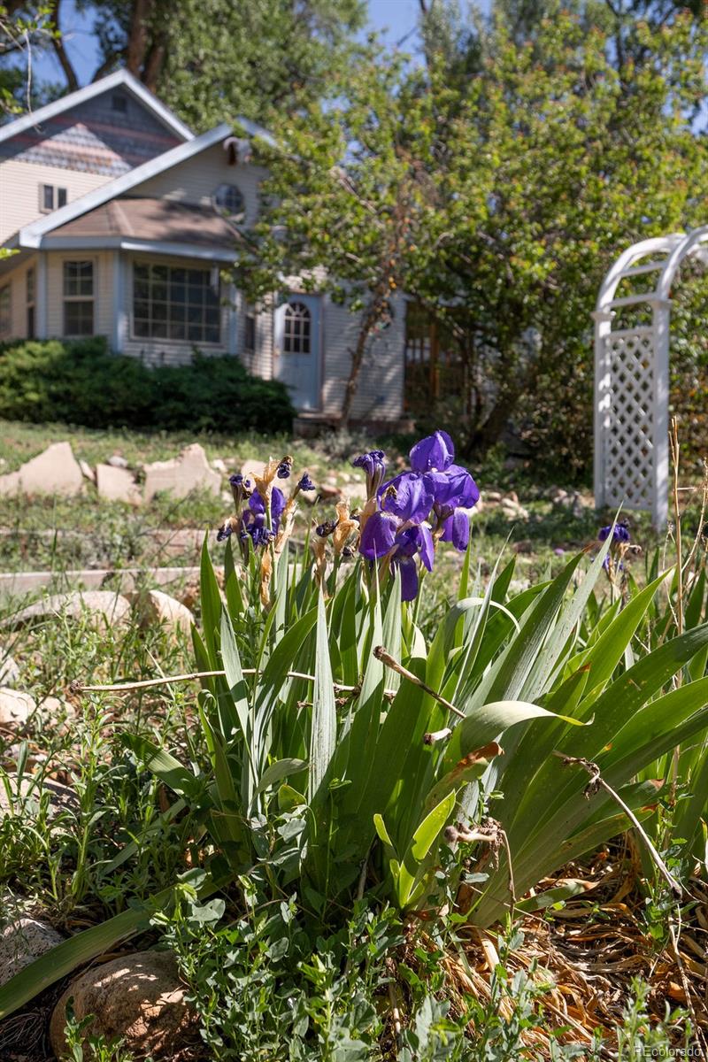 319 W Arkansas Street