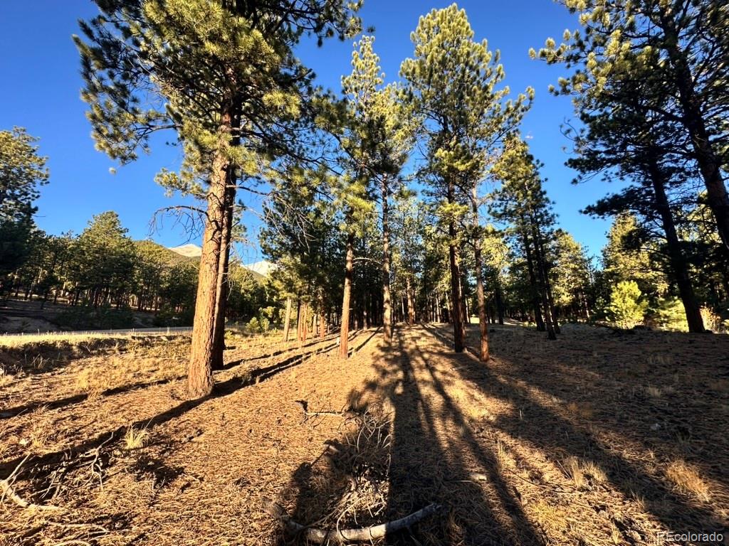 16703 Pine Grove Parkway