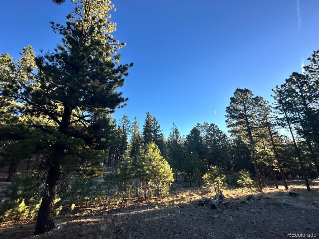 16703 Pine Grove Parkway