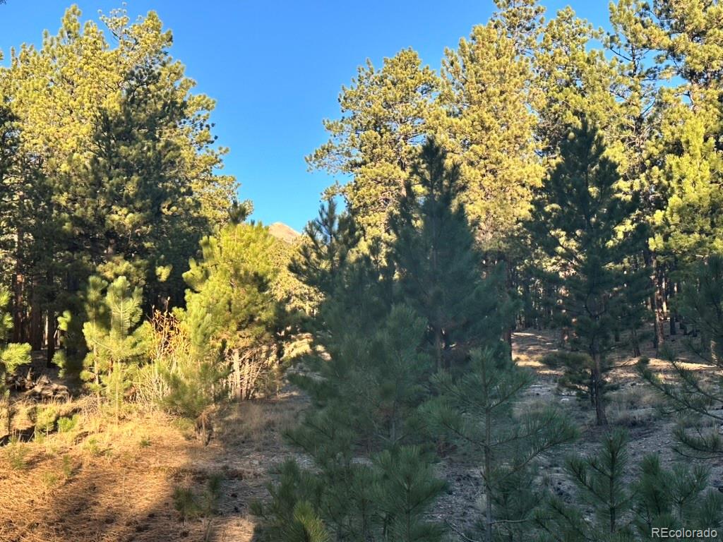 16703 Pine Grove Parkway