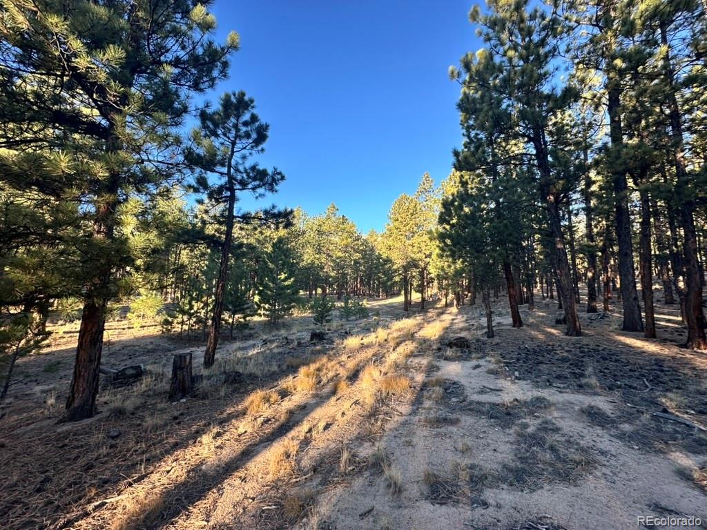 16703 Pine Grove Parkway