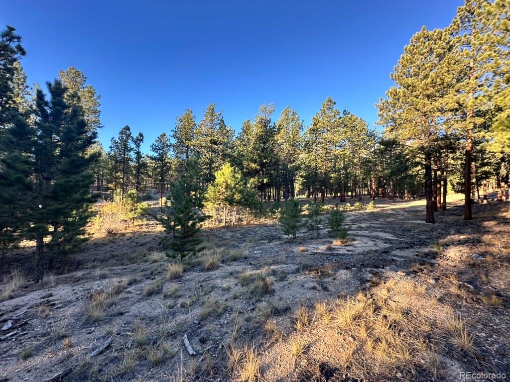 16703 Pine Grove Parkway