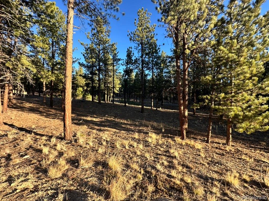 16703 Pine Grove Parkway