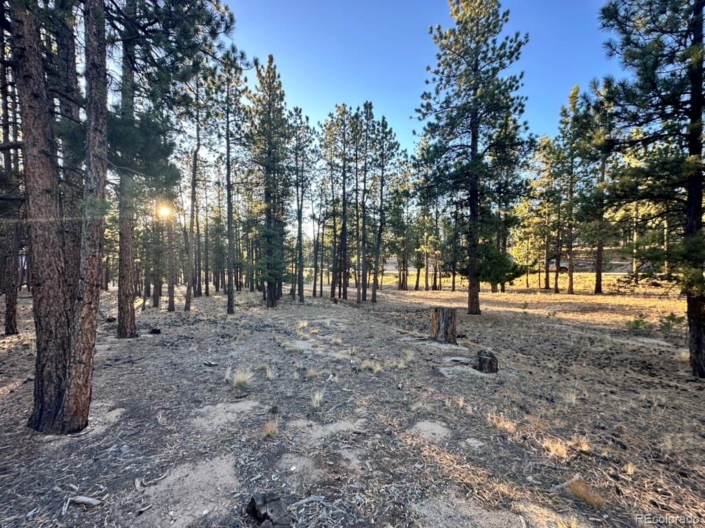 16703 Pine Grove Parkway