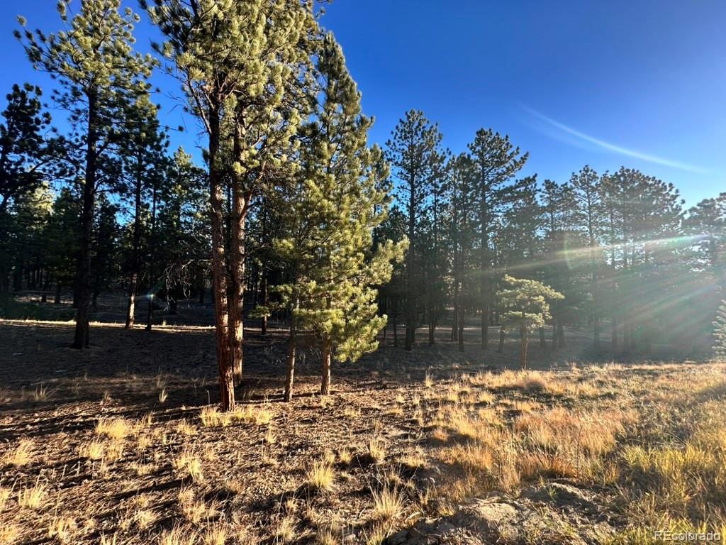 16703 Pine Grove Parkway