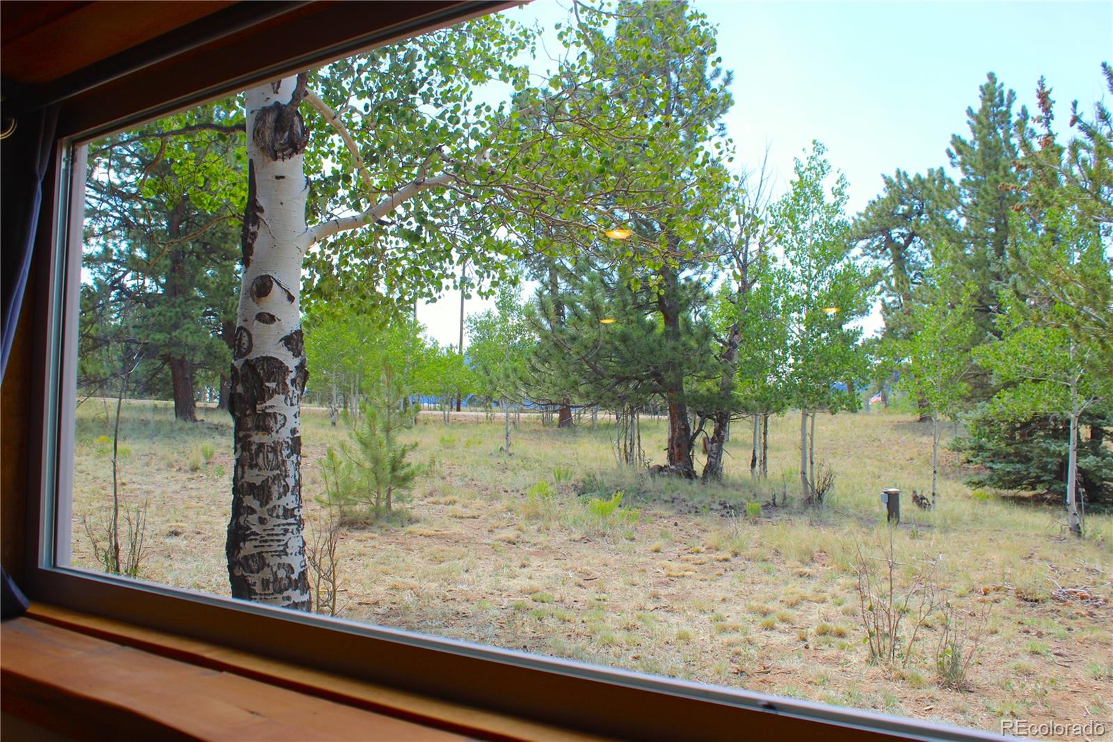 2800 Singletree Road