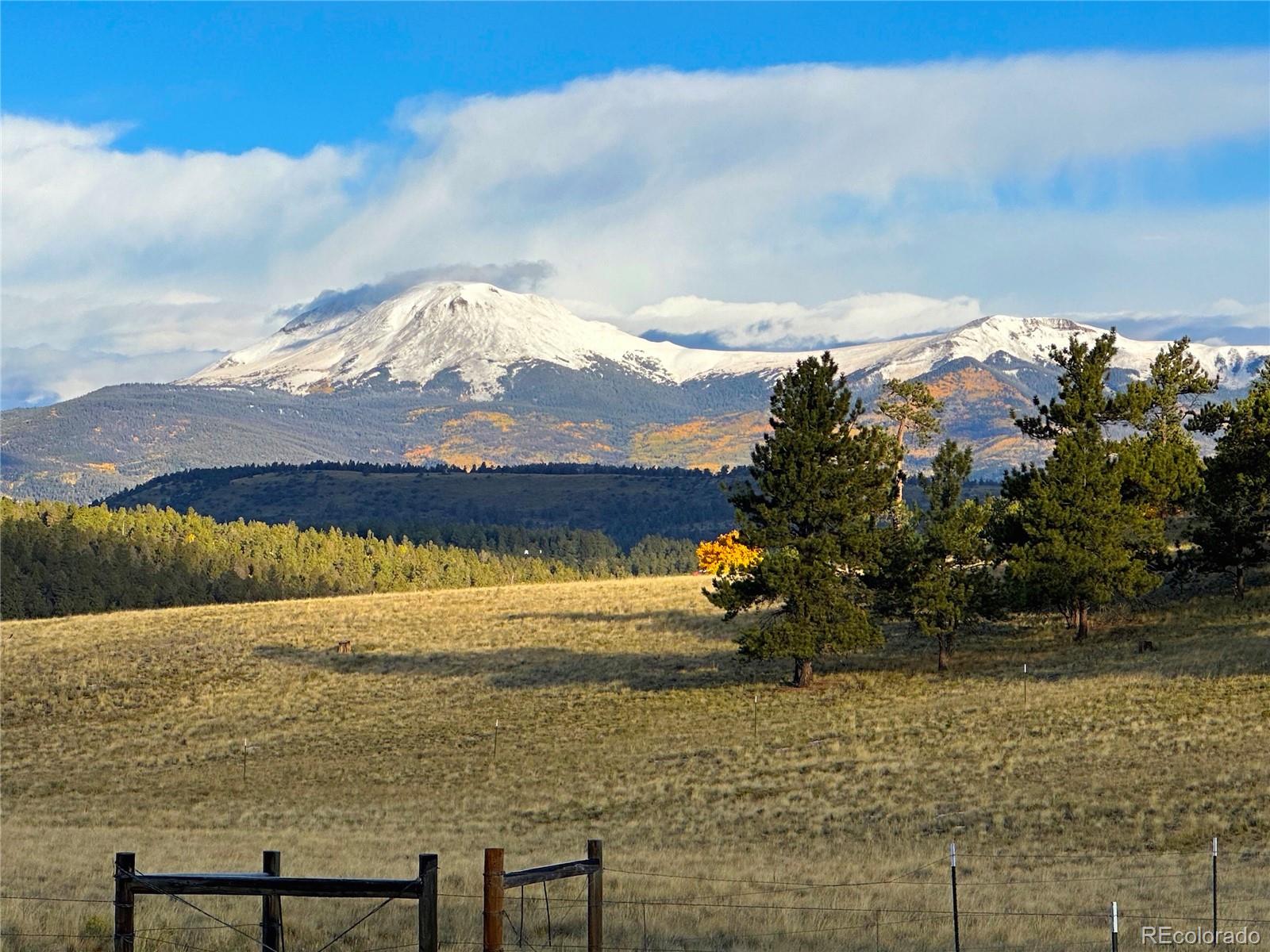 2800 Singletree Road