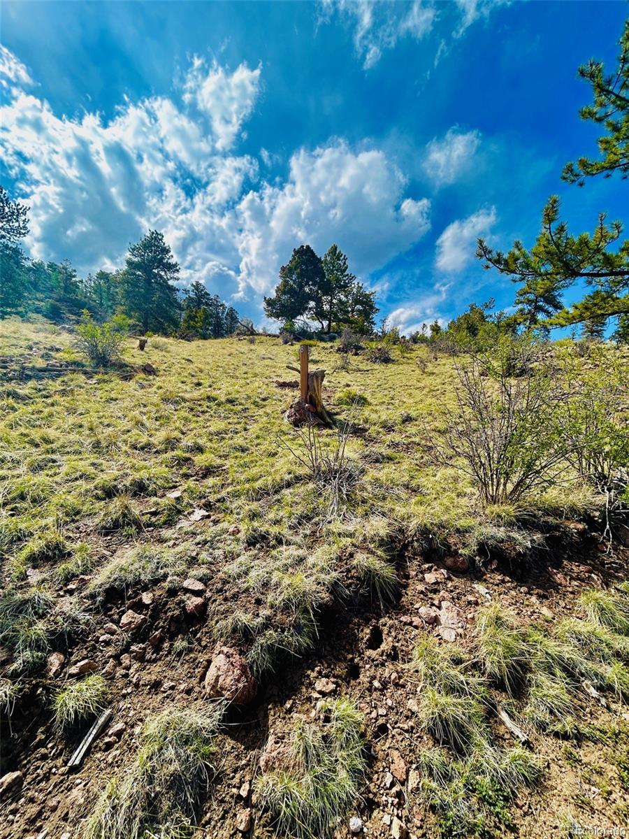 4641 Ranch Road