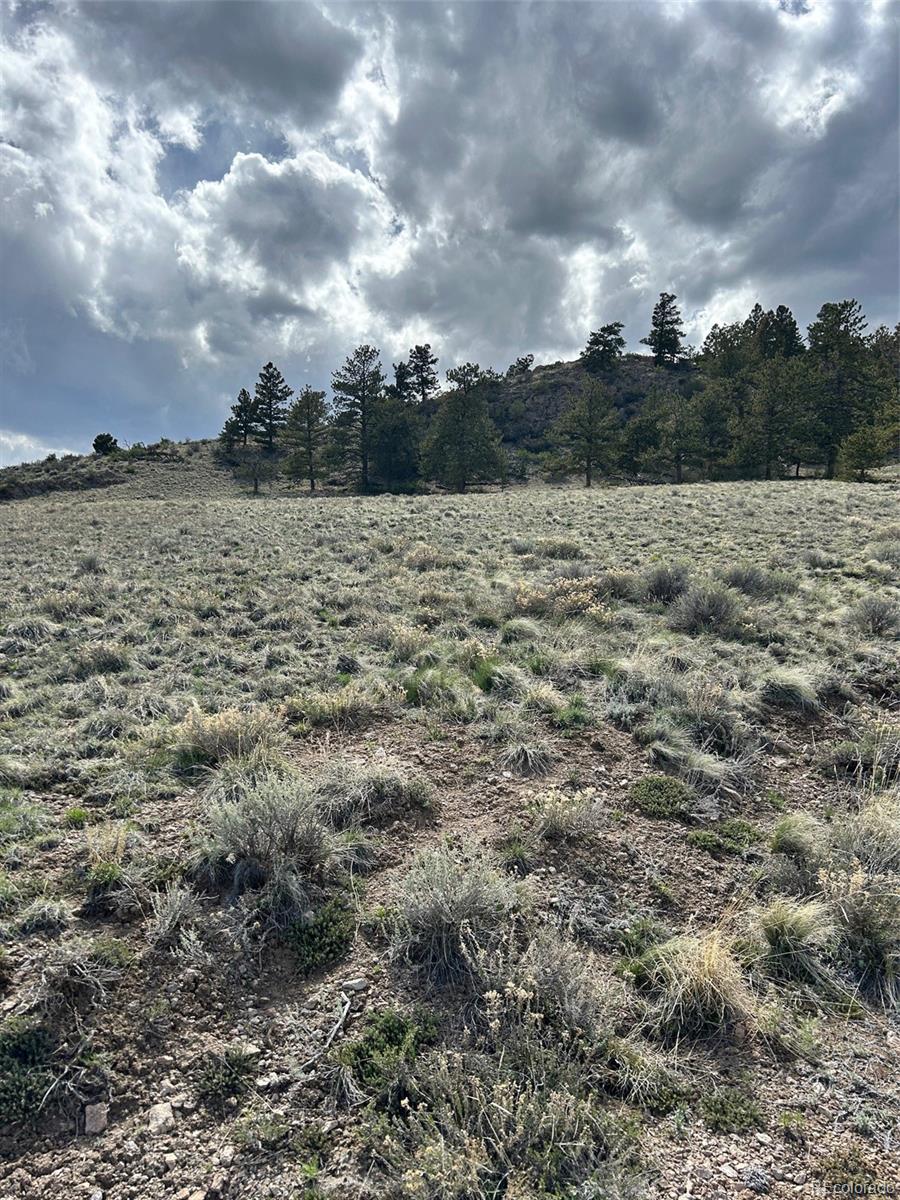 4641 Ranch Road