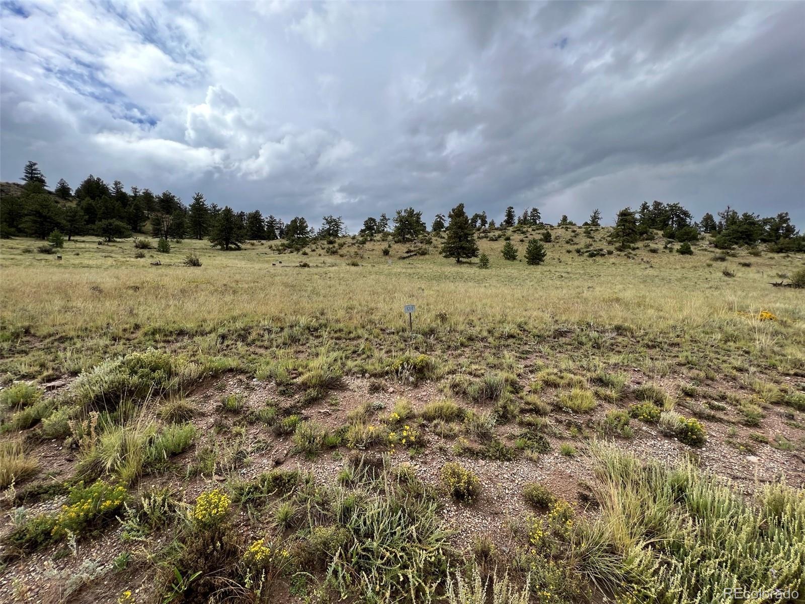 4641 Ranch Road