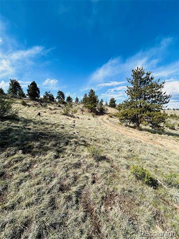 4641 Ranch Road