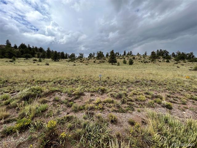 4641 Ranch Road
