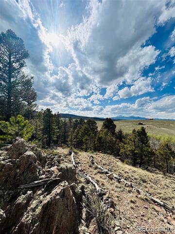 4641 Ranch Road