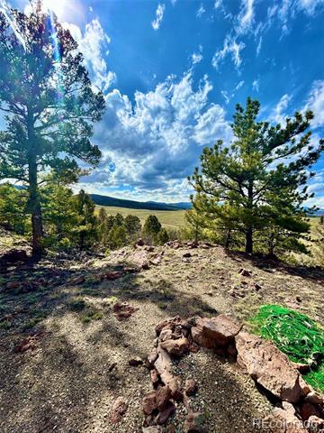 4641 Ranch Road