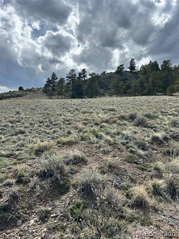4641 Ranch Road