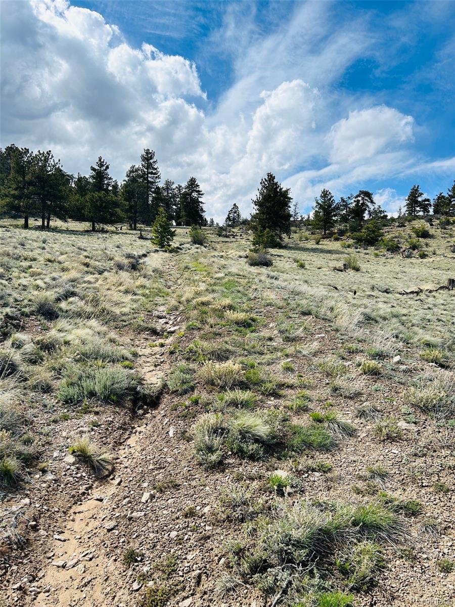 4641 Ranch Road