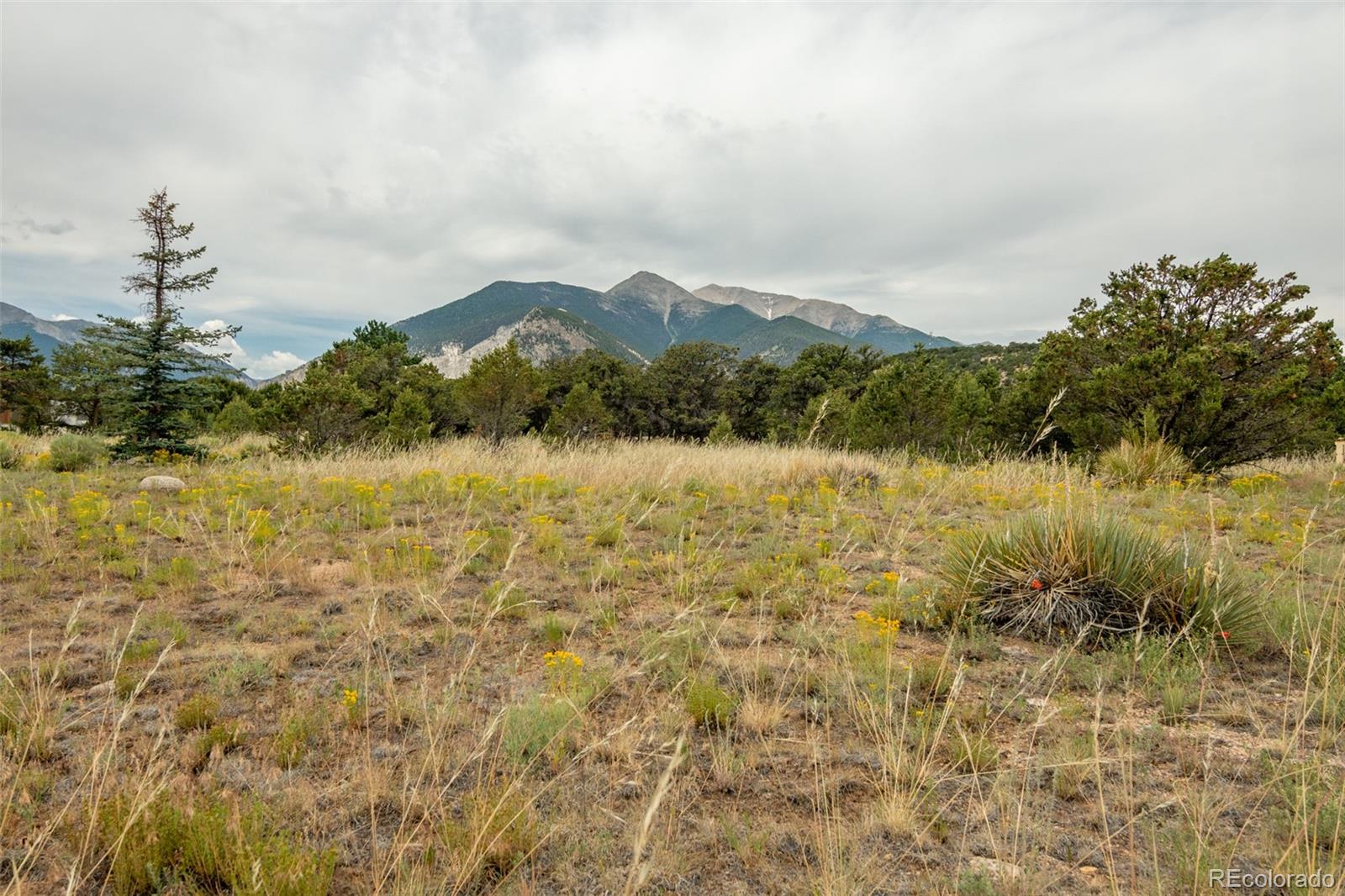 15189 County Road 162