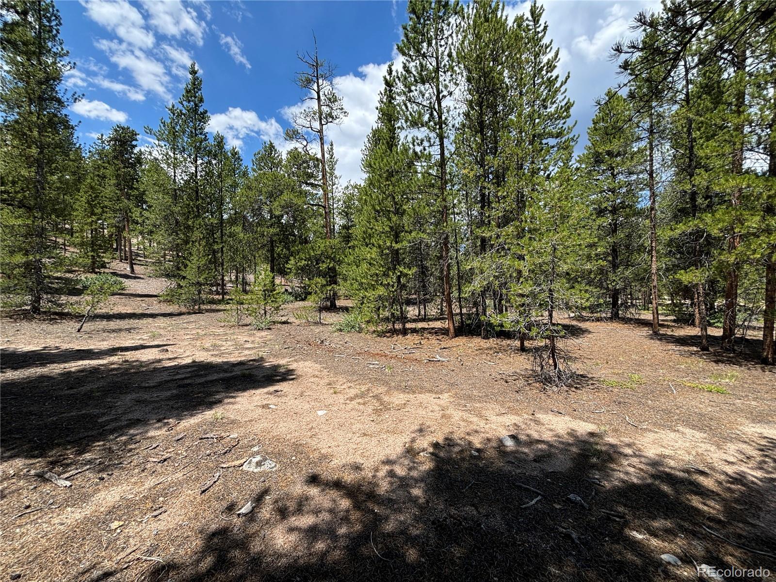 872 Birch Drive
