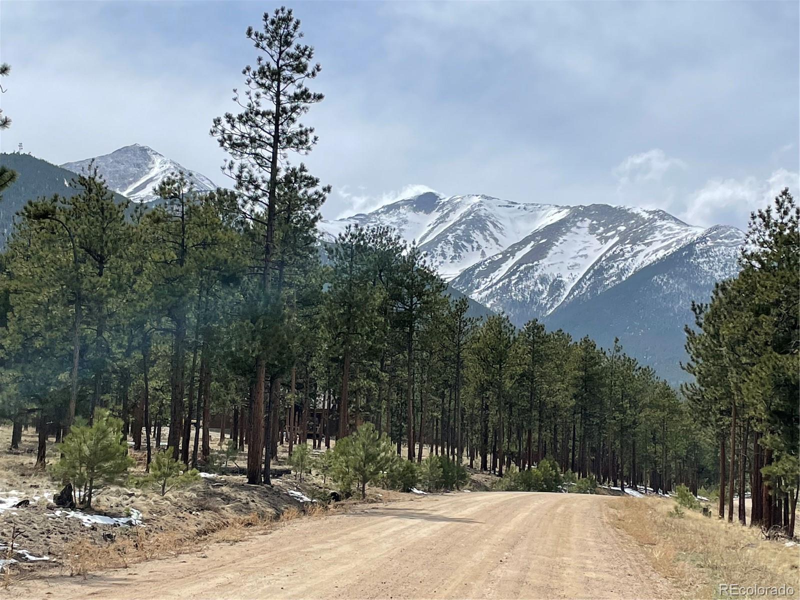16360 Mt Princeton Road