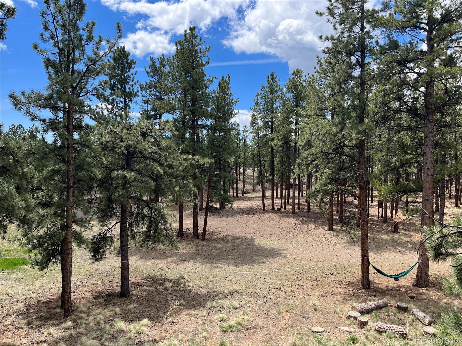 16360 Mt Princeton Road