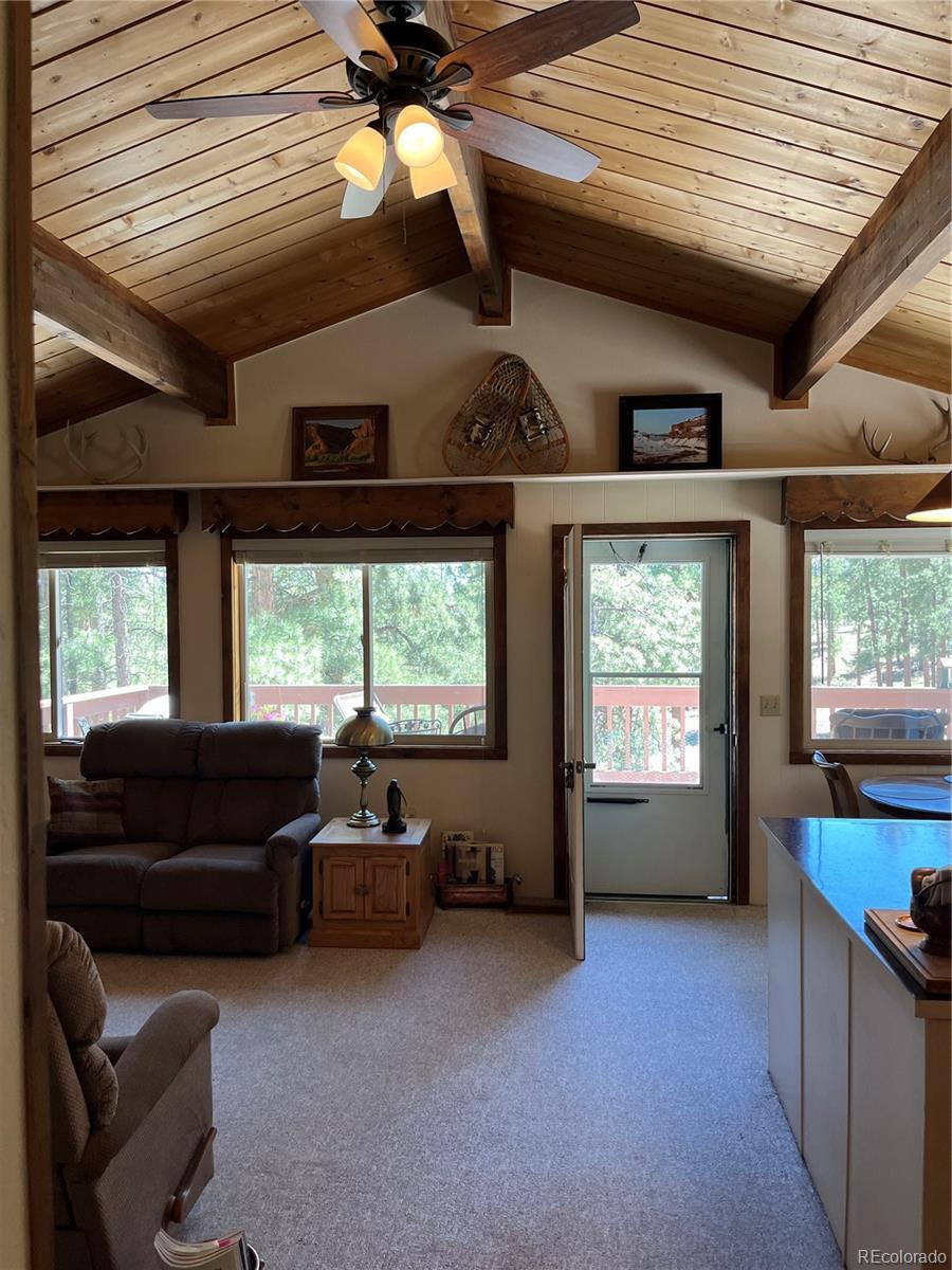 16360 Mt Princeton Road