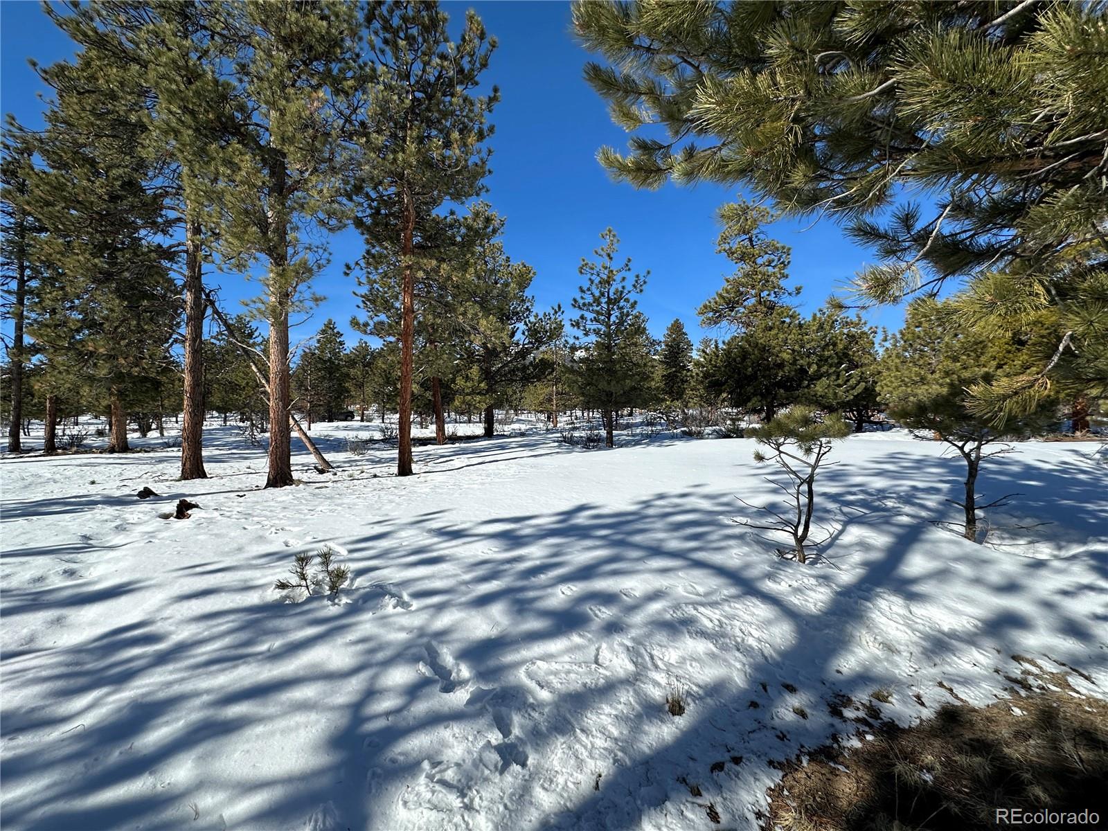 30650 Timberline N.