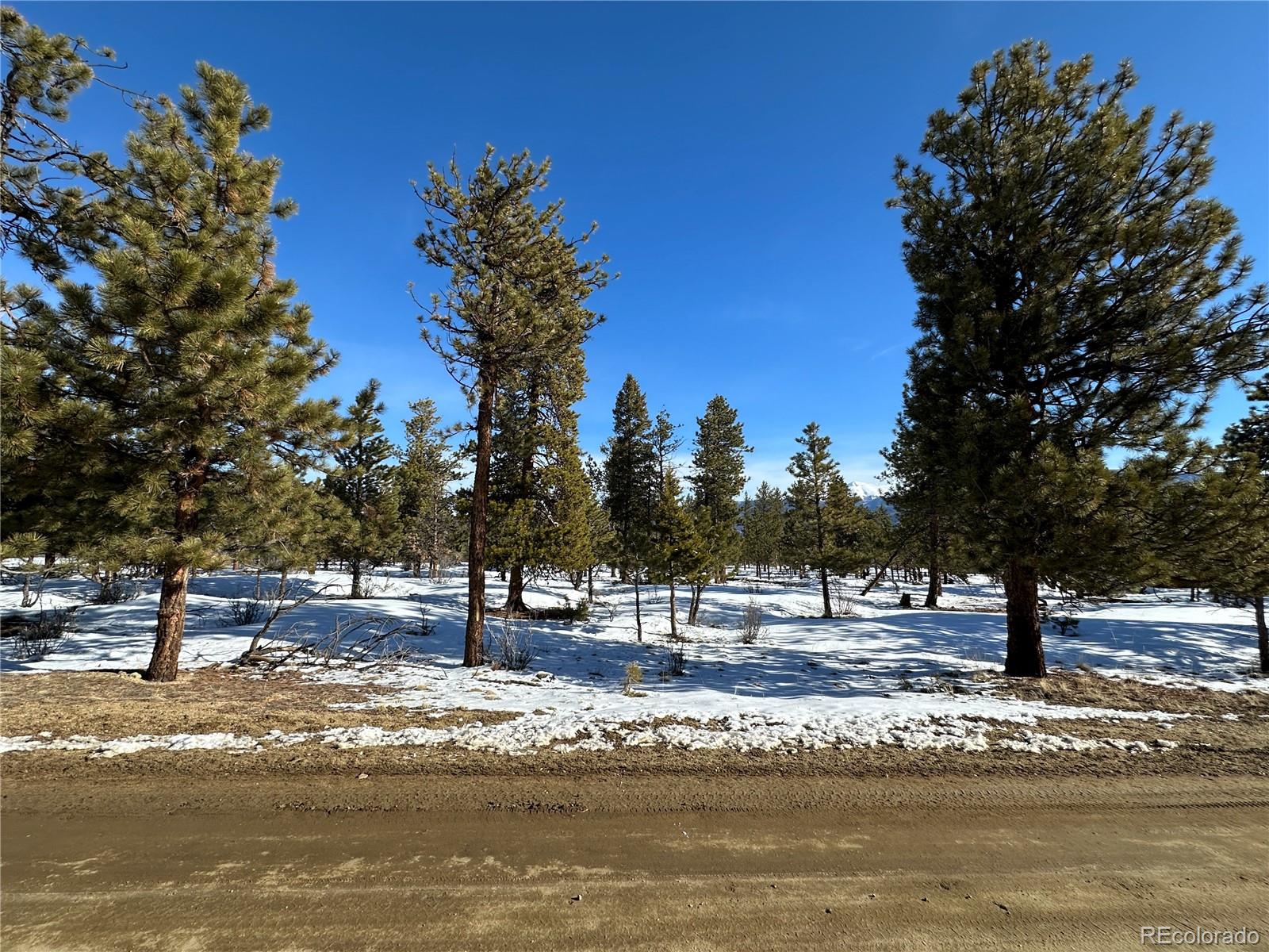 30650 Timberline N.
