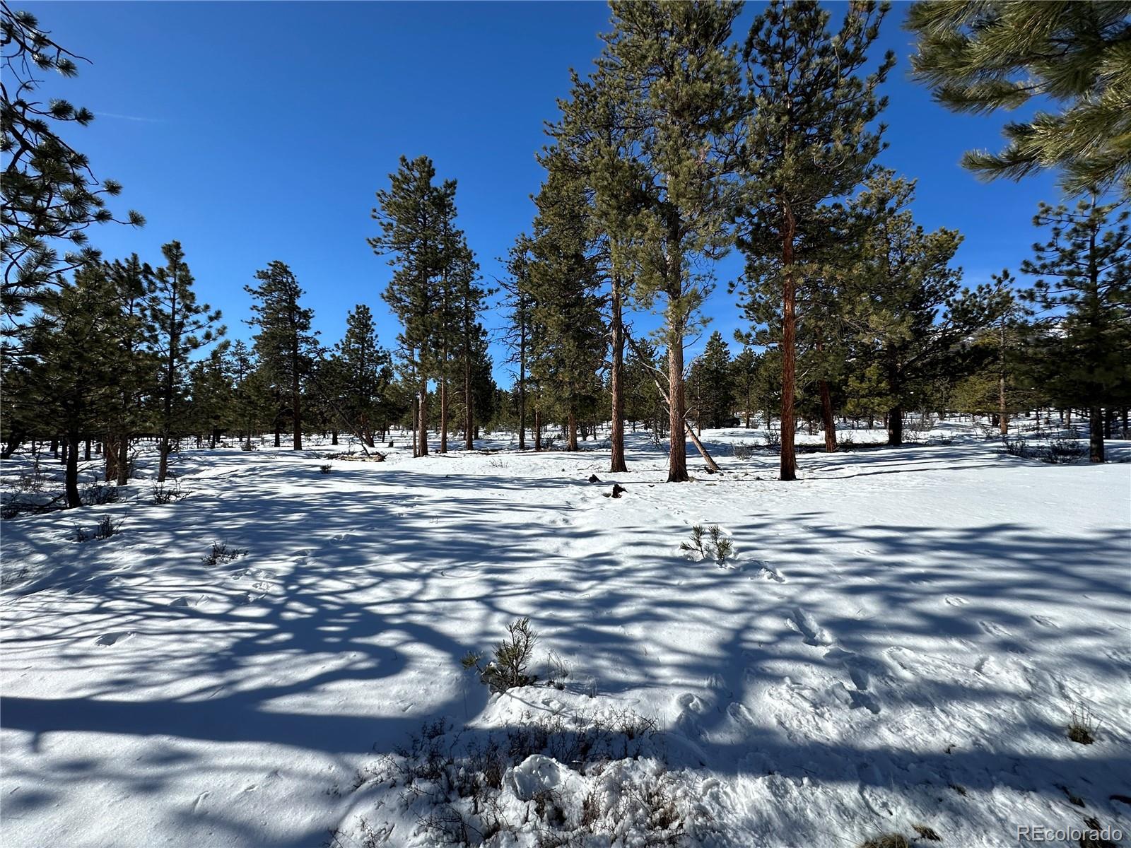 30650 Timberline N.