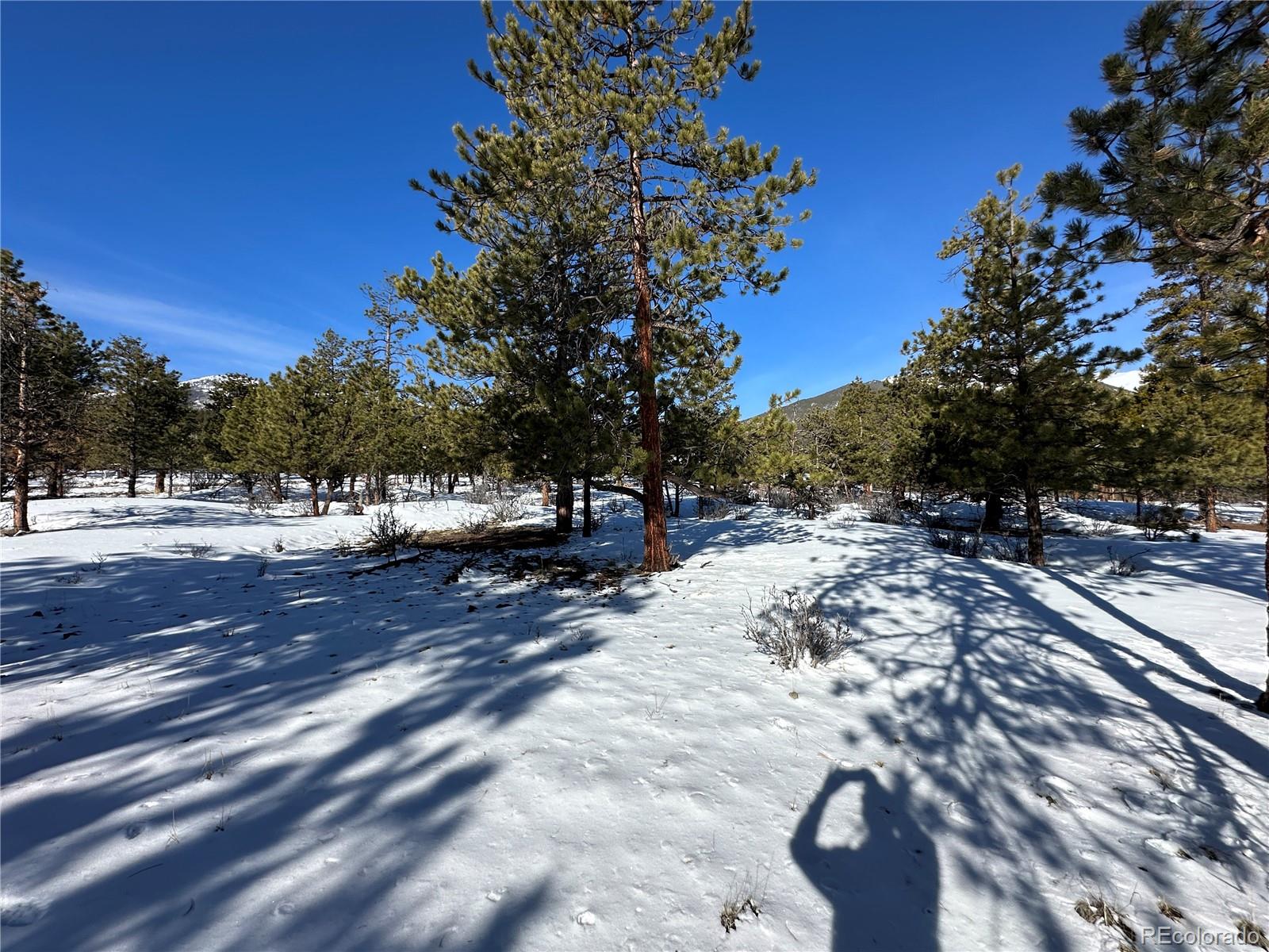 30650 Timberline N.