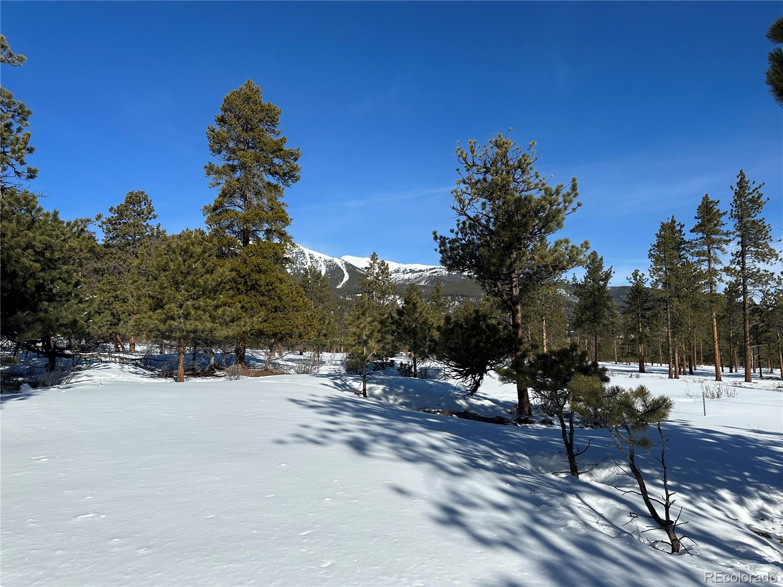 30650 Timberline N.