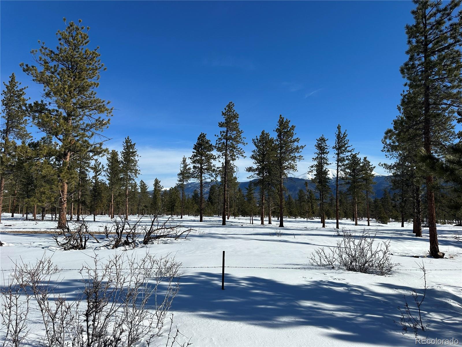 30650 Timberline N.